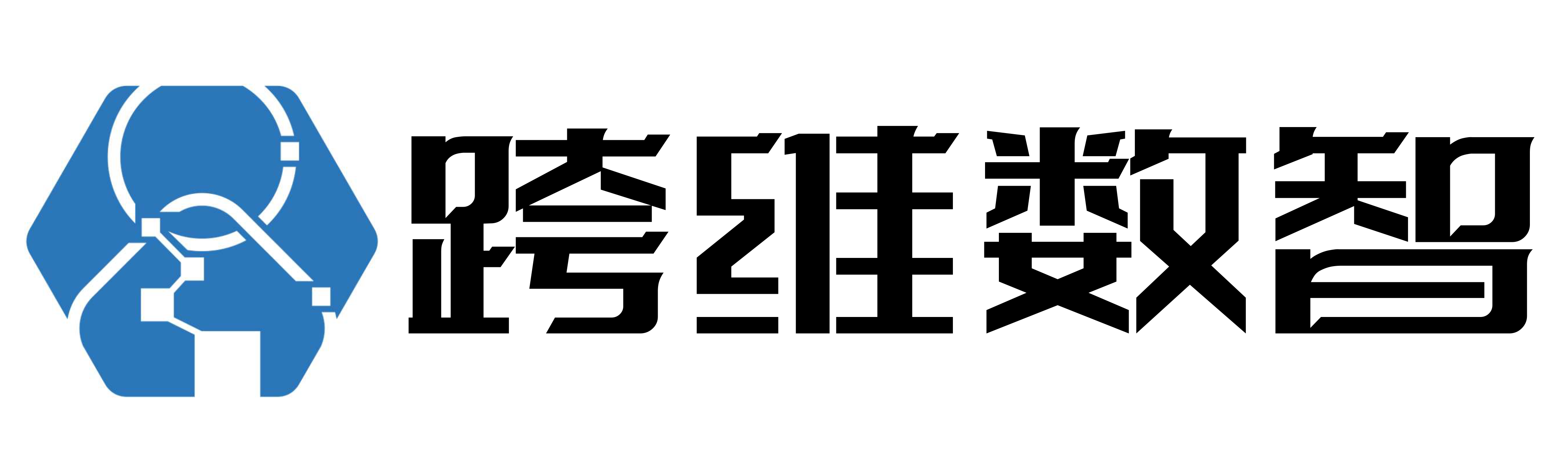 跨维数智